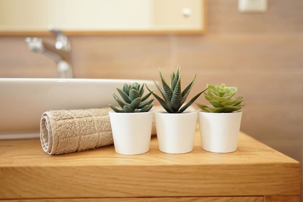 bathroom shelf decor ideas