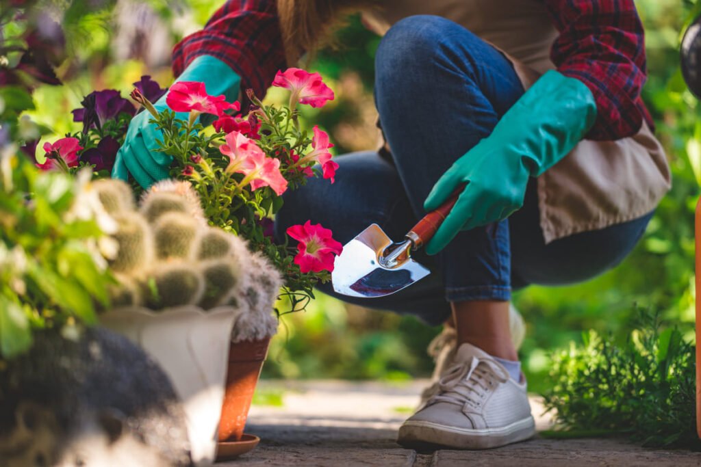 home gardening