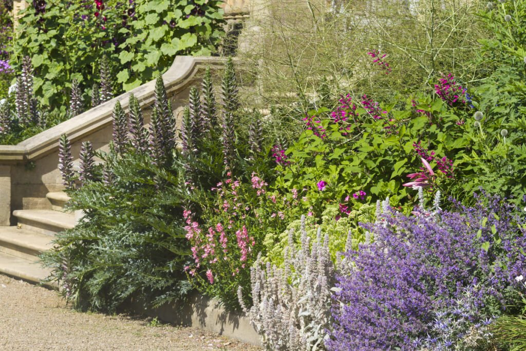 natural plants