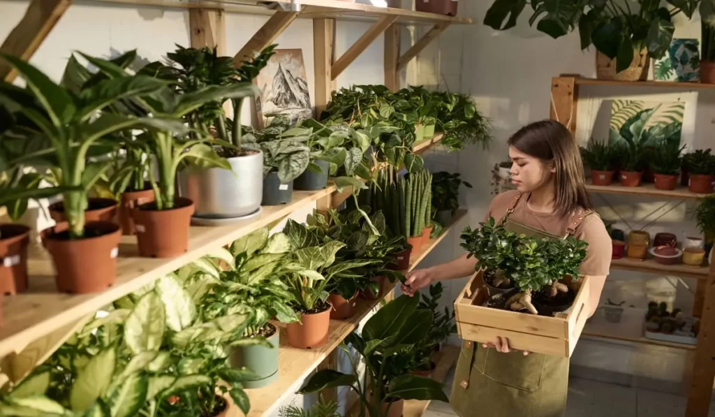 15 hard to kill houseplants