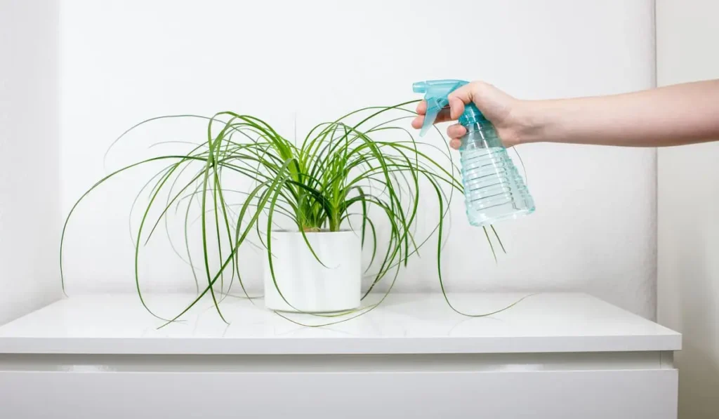 dust artificial flowers