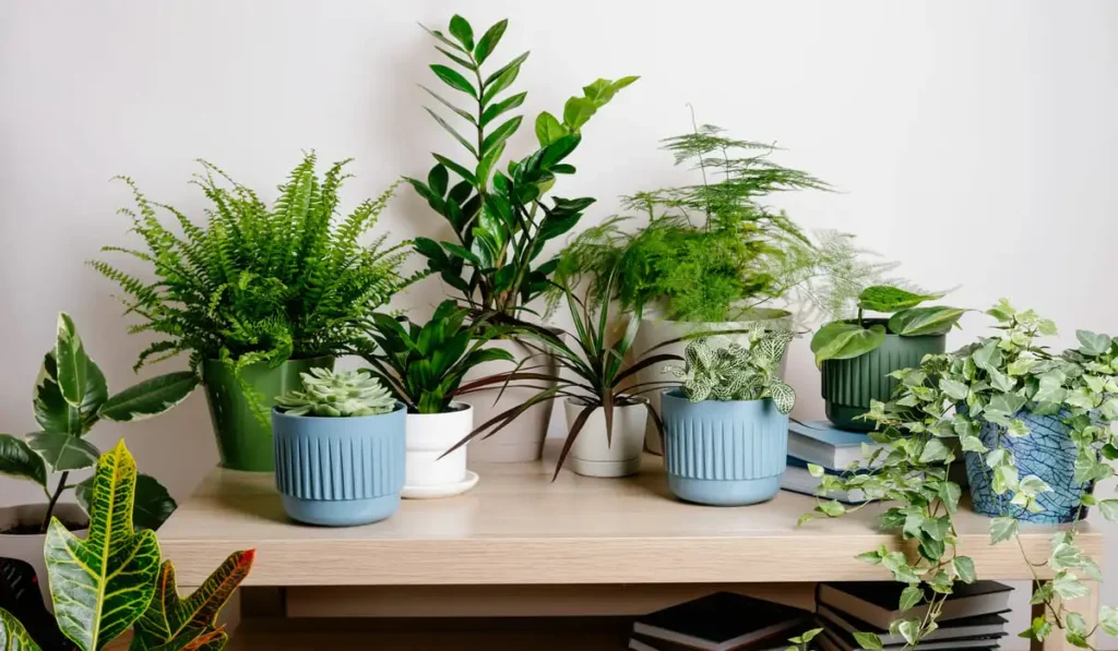 houseplants hard to kill