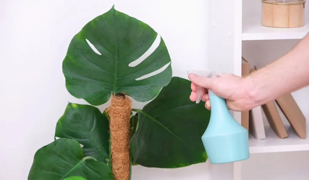 simply tips to dust artificial flowers