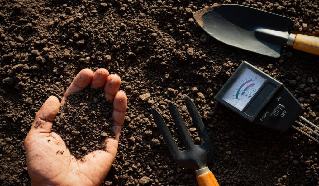 test garden soil at home