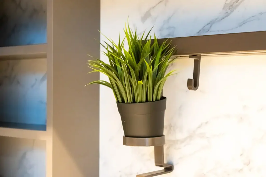 adhesive hook hanging plant wall