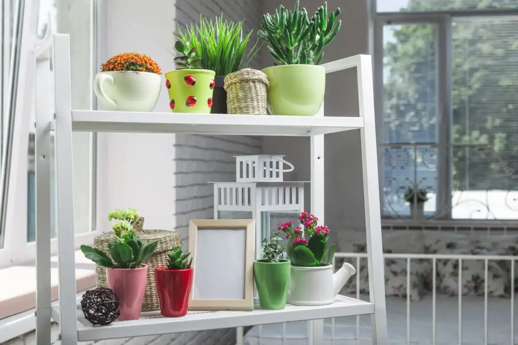 calming plants for anxiety and stress