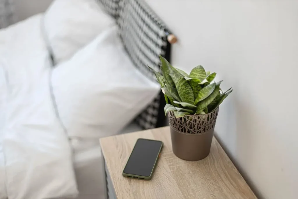 calming plants for bedroom