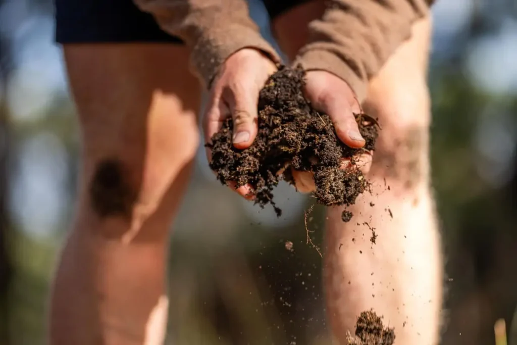 checking soil texture for raised beds