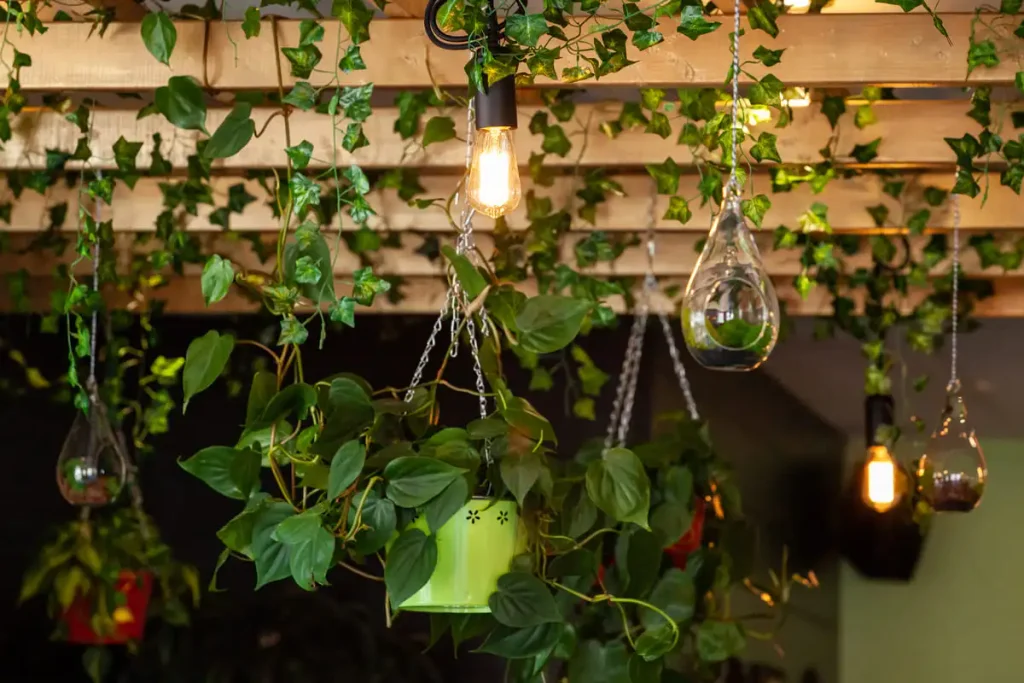 hanging plants ceiling pendant lights