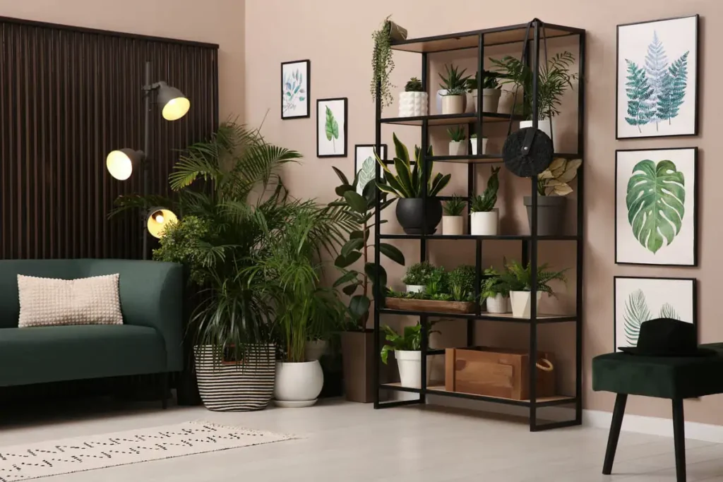 how to arrange plants living room
