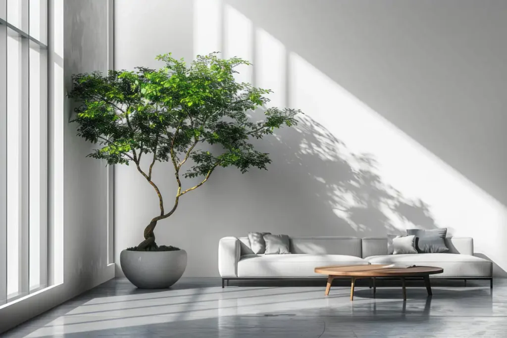 Tall potted tree beside a white sofa in a minimalist room corner