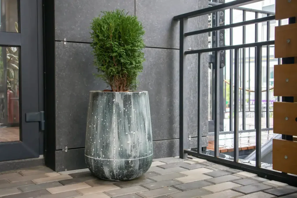 luxury plant pots modern entrance