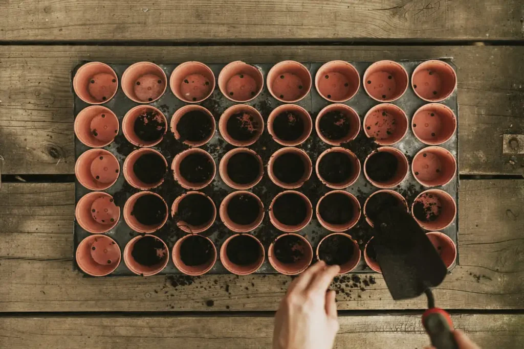 potting soil vs garden soil seed starting pots