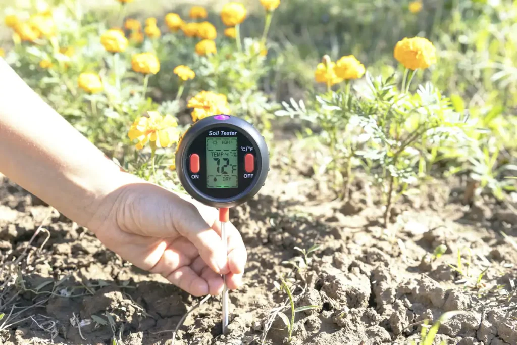 should I water my vegetable garden every day soil check