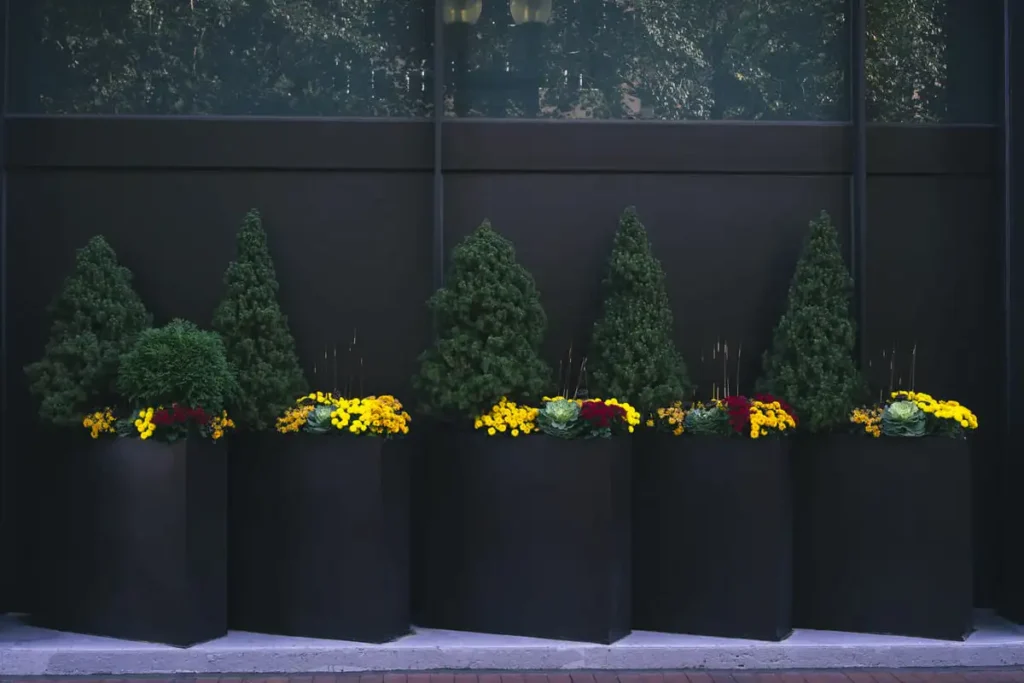 tall planters outdoor room divider