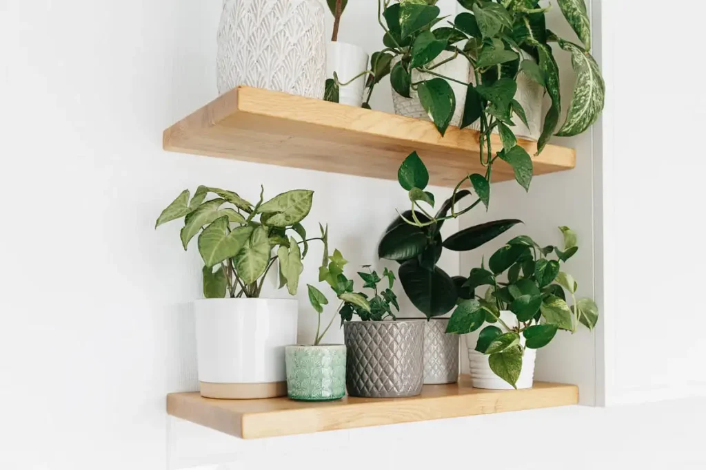 vertical plant shelf small living room