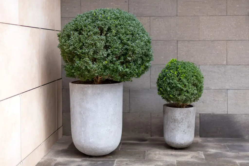 luxury outdoor planters polished-concrete minimalism
