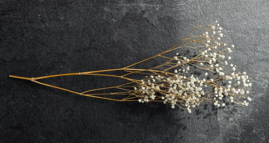 Bundles of dried herbs against a dark wall, an easy dark cottagecore bedroom decor idea