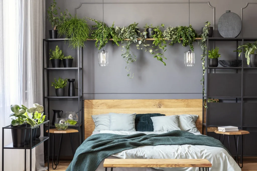 Wooden bed with a green blanket under hanging plants and warm lamps