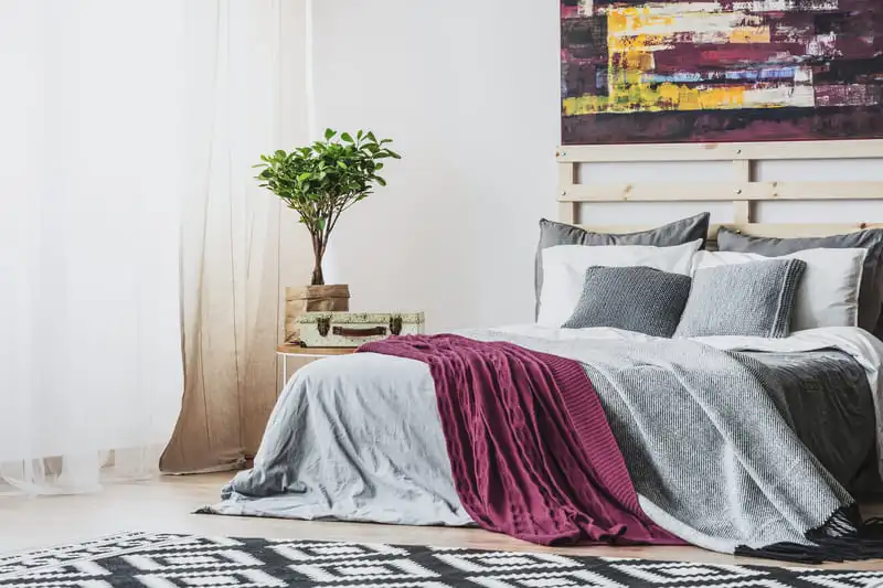 Patterned rug beside a grey bed with a purple blanket and a plant