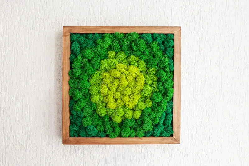 Green preserved moss panel in a wooden frame hanging on a wall