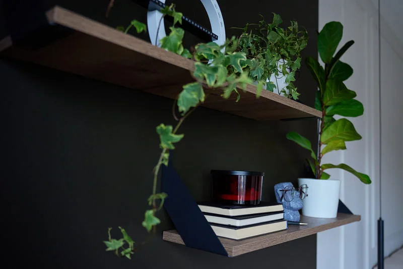 Floating wooden shelves with houseplants, books and small objects against a dark wall